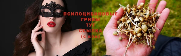 шишки Лагань