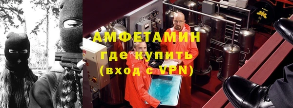 шишки Лагань