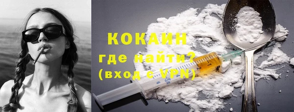 шишки Лагань