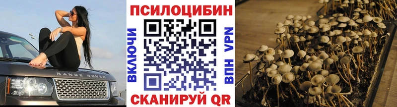 Галлюциногенные грибы GOLDEN TEACHER  Данилов 